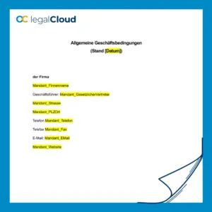 Allgemeine Geschäftsbedingungen (AGB) für Softwareentwicklung und -herstellung - Vorschau