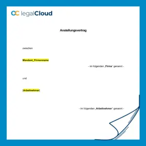 Anstellungsvertrag Softwareentwickler - Vorlage für Vollzeit mit Probezeit und Gehaltsregelung (40) - Vorschau
