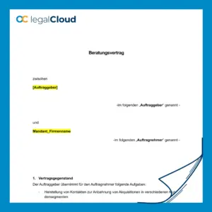 Beratungsvertrag SAP und Bilanzierung rechtssichere Vorlage für Unternehmen (99) - Vorschau