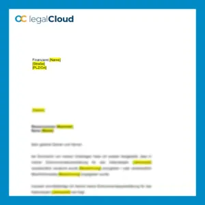 Berichtigung Einkommensteuererklärung - Muster für Korrektur - Vorschau