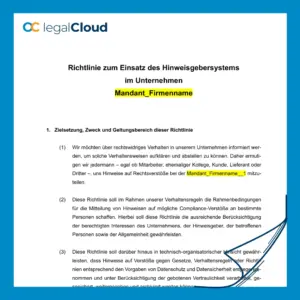 Compliance Richtlinie Einsatz Hinweisgebersystem - DSGVO und HinSchG konform (D76) - Vorschau