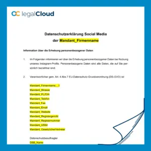 Datenschutzerklärung Social Media - Instagram rechtssicher gestalten (D3) - Vorschau