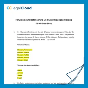 Datenschutzhinweise und Einwilligungserklärung - Online Shop DSGVO Vorlage (D54) - Vorschau