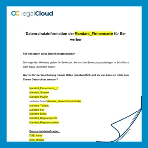 Datenschutzinformationen für Bewerber - DSGVO konforme Vorlage (D63) - Vorschau