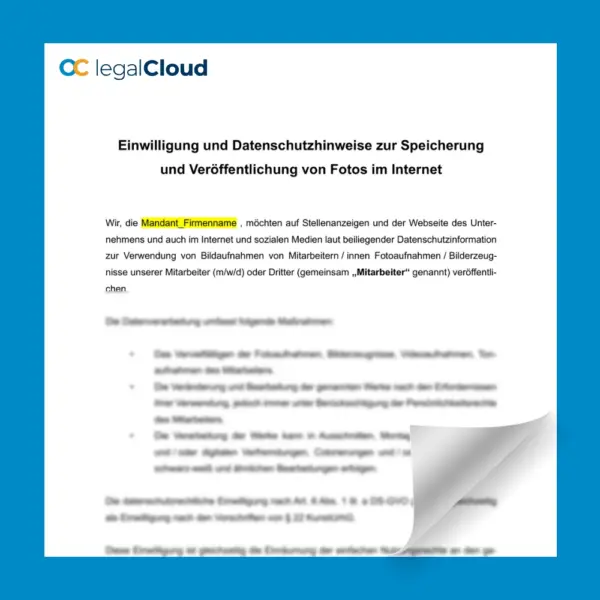 Einwilligungserklärung und Datenschutzhinweise zur zur Speicherung und Veröffentlichung von Mitarbeiterfotos im Internet und in sozialen Medien – Bild 2