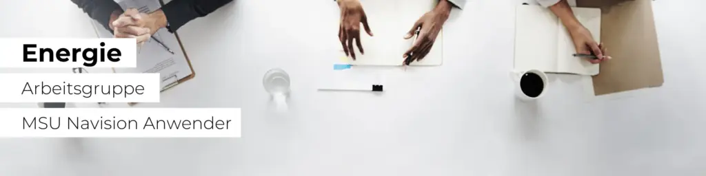 Energie: WEB-Arbeitsgruppe zur praxisnahen Umsetzung aktueller Sperrrecht-Themen – Anwender MSU Navision - 2
