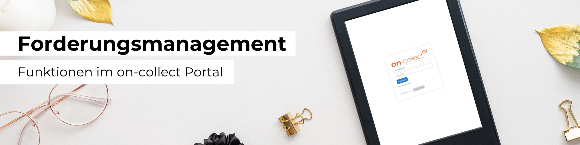 Funktionen im on-collect Portal - 1