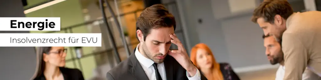 HYBRID-Praxistraining Insolvenzrecht für Energieversorger – Zahlungsausfälle verhindern - 2